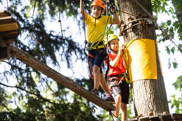 Criança feliz a subir nas árvores. Um parque de cordas. Criança alpinista. Desenvolvimento da primeira infância. Roping Park. Feixe de equilíbrio e pontes de corda. Parque de cordas - centro de escalada — Fotografia de Stock