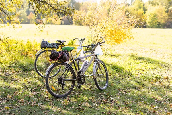 Dos bicicletas de pie sobre hojas cubiertas de otoño — Foto de Stock