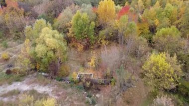 Sonbahar ormanı insansız hava aracı görüntüsü