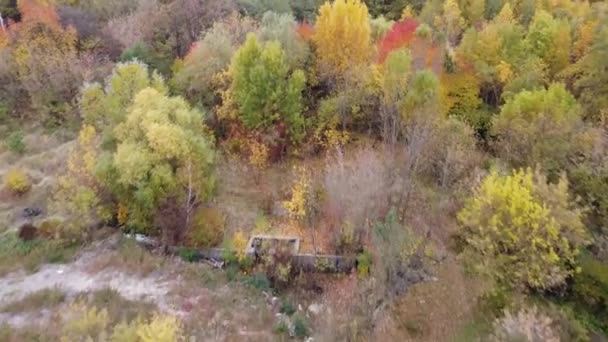 Vue aérienne de drone de forêt d'automne — Video