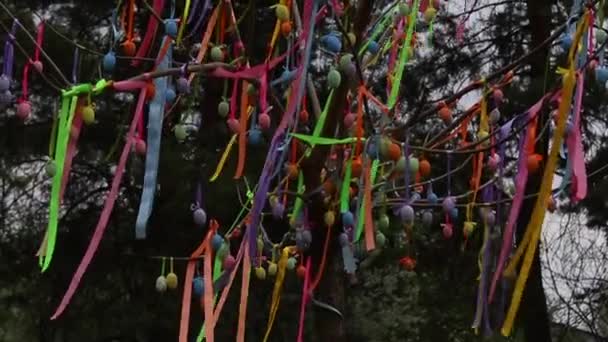 Árvore de Páscoa, salgueiro decorado com ovos decorativos e fitas coloridas, fundo de férias de Páscoa — Vídeo de Stock