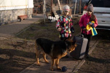 Ukrayna bayrağı taşıyan iki küçük kız, bavul, köpekler. Ukrayna savaş göçü. Eşyaları bir bavulda toplamak. Ukrayna bayrağı, yardım et. Krizin, askeri çatışma..
