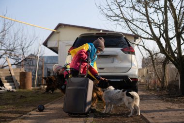 Ukrayna bayrağı taşıyan iki küçük kız, bavul, köpekler. Ukrayna savaş göçü. Eşyaları bir bavulda toplamak. Ukrayna bayrağı, yardım et. Krizin, askeri çatışma..