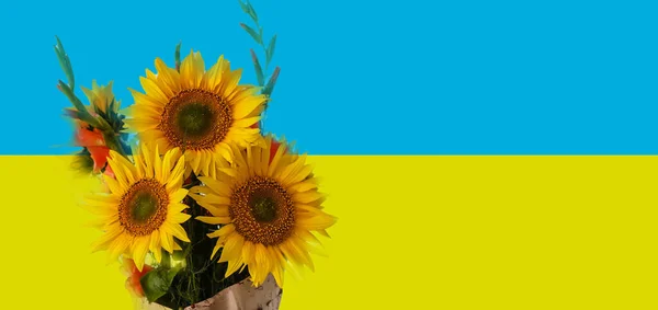 Bandeira da Ucrânia, girassóis são um símbolo da Ucrânia — Fotografia de Stock