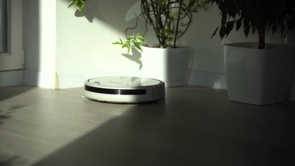 Witte robot stofzuiger apparaat reinigen vloer van kruimels thuis — Stockvideo