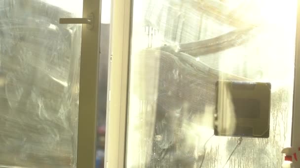 Καθαριστής τζαμιών ρομπότ δουλεύει σε βρώμικο παράθυρο. Καθαρισμός του σπιτιού με έξυπνες συσκευές. Αυτόματα ρομπότ κενού για τον καθαρισμό παραθύρων, βοηθός για το σπίτι — Αρχείο Βίντεο