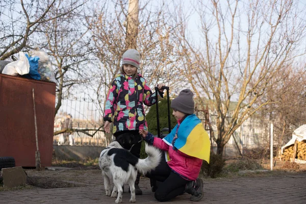 Две маленькие девочки с флагом Украины, чемоданом, собаками. Военная миграция Украины. Коллекция вещей в чемодане. Флаг Украины, помогите. Кризин, военный конфликт. — стоковое фото