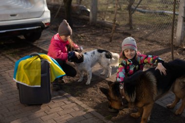 Ukrayna bayrağı taşıyan iki küçük kız, bavul, köpekler. Ukrayna savaş göçü. Eşyaları bir bavulda toplamak. Ukrayna bayrağı, yardım et. Krizin, askeri çatışma..