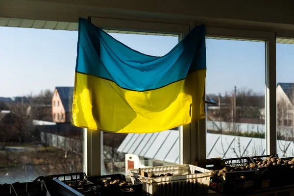 Unterstützt die Ukraine. Ukrainische Flagge am Fenster. Platz für Text. — Stockfoto