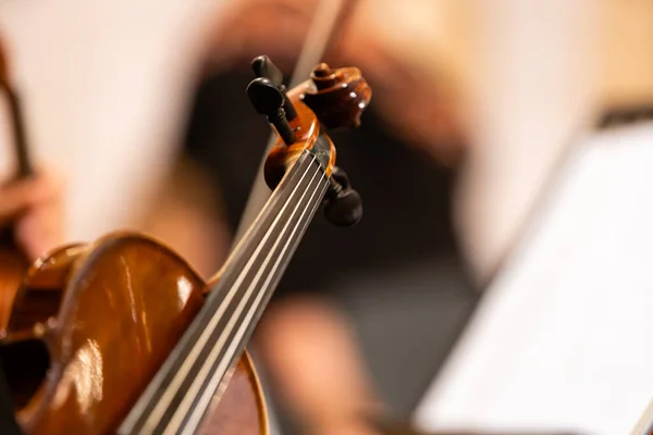 Рука на струнах скрипки — стокове фото