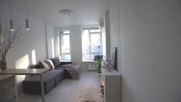 Studio in minimalist style, fireplace, sofa — Stock Video
