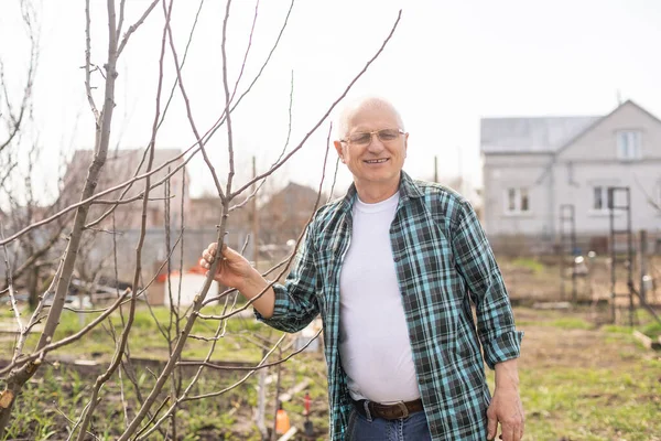 Starszy mężczyzna w ogrodzie warzywnym. Wiosenna koncepcja ogrodu. Styl życia osób starszych. — Zdjęcie stockowe