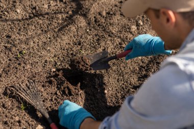 Sebze bahçesinde çiftçilik.