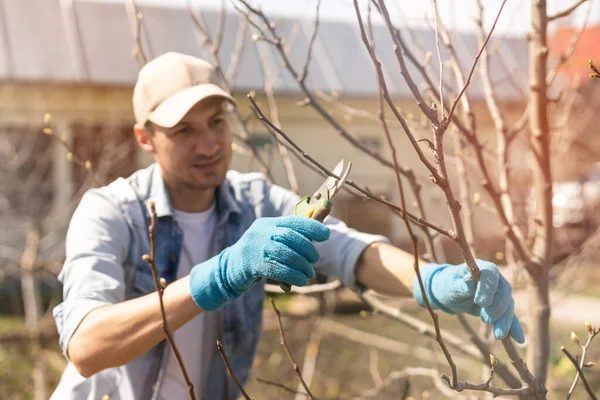 genç adam budama şube portresi