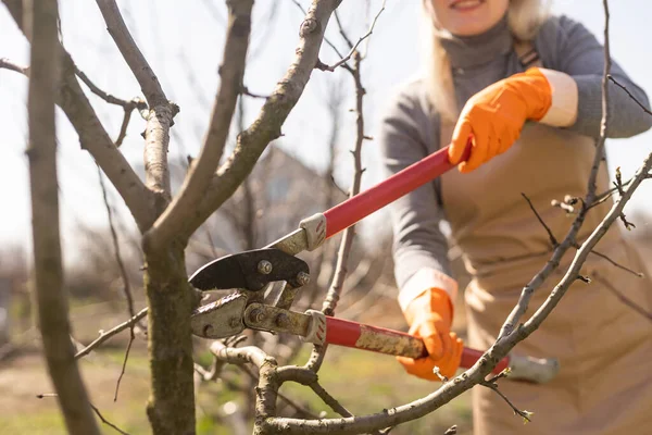 Przycinanie drzew w jesiennym ogrodzie. Zbliżenie dłoni w żółtych rękawiczkach i nożycach do przycinania starych gałęzi. — Zdjęcie stockowe
