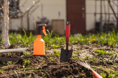 Sebze bahçesindeki çiftçi, bahçe aletleri.
