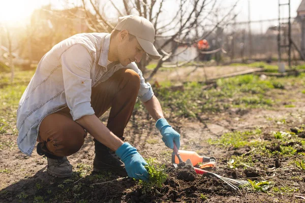 Adam bahçeye mahsul ekiyor..