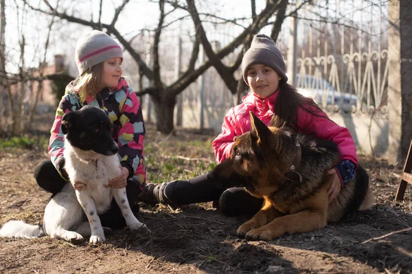 Две маленькие девочки с двумя собаками — стоковое фото