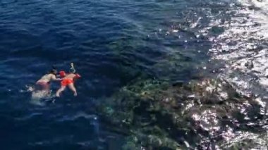 İnsanlar Kızıl Deniz 'in yüzeyinde mercanlar içinde yüzüyor.