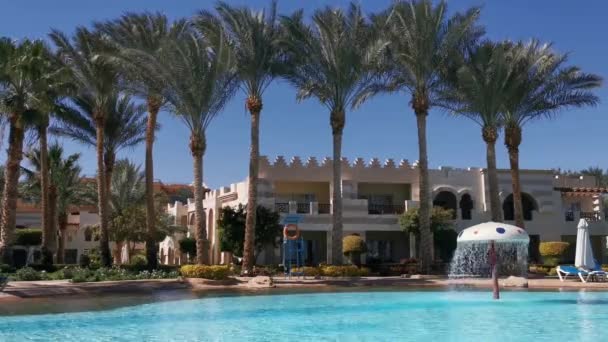 酒店背景的棕榈树 — 图库视频影像