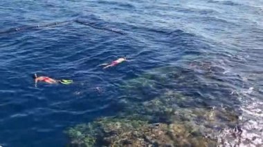 İnsanlar Kızıl Deniz 'in yüzeyinde mercanlar içinde yüzüyor.
