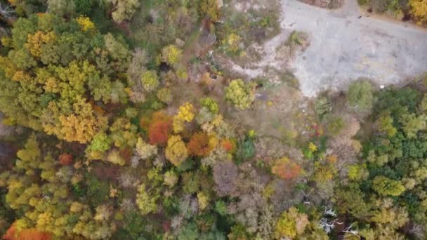 Podzimní přírodní lesní krajina. podzimní les s červenými a oranžovými stromy. Podzim v parku. — Stock video