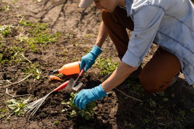 Sebze bahçesindeki çiftçi, bahçe aletleri.