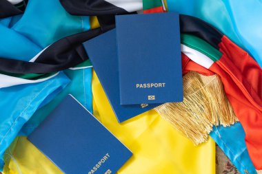 Bir Ukrayna vatandaşının biyometrik pasaportu. Göç, mülteci statüsü, savaşı durdurun, barışı durdurun. Boşluğu kopyala