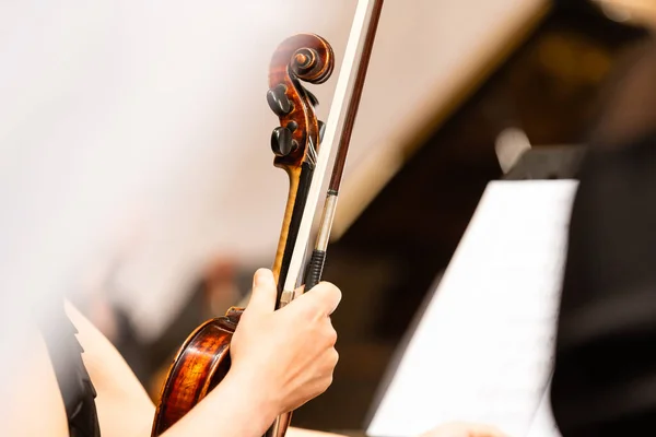 Hand on the strings of a violin — Stock Photo, Image