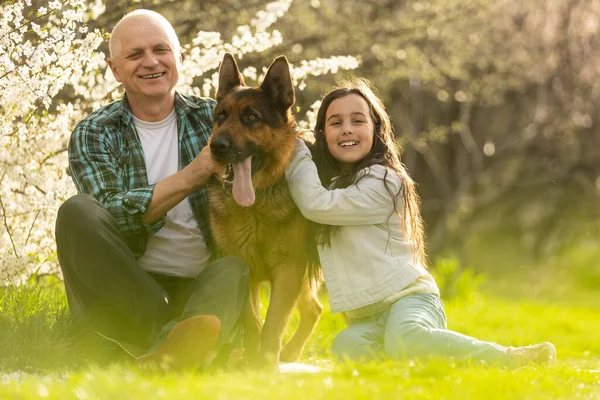 Grandfather and granddaughter with dog shepherd in the garden — Foto de Stock