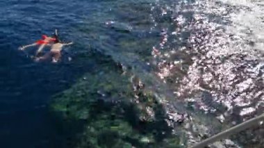 İnsanlar Kızıl Deniz 'in yüzeyinde mercanlar içinde yüzüyor.