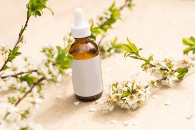 Beyaz sıkılmış şişe tüpünün üst görüntüsü. Küçük beyaz çiçekler. ilaç veya kozmetik - krem, jöle, cilt bakımı, diş macunu.