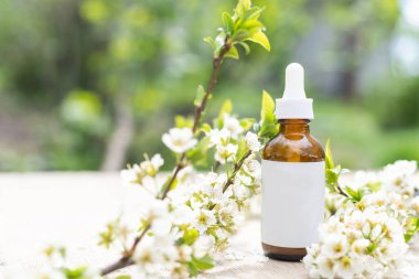 Beyaz sıkılmış şişe tüpünün üst görüntüsü. Küçük beyaz çiçekler. ilaç veya kozmetik - krem, jöle, cilt bakımı, diş macunu.