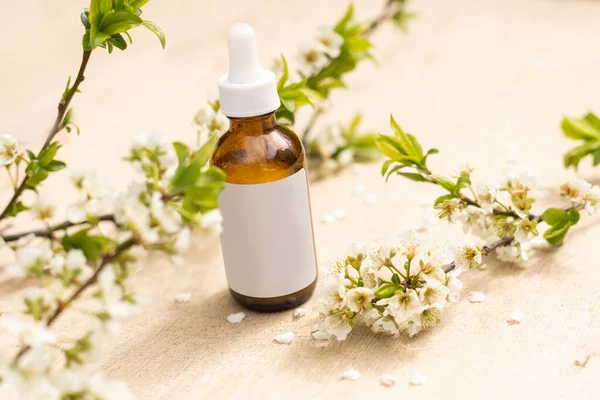 Beyaz sıkılmış şişe tüpünün üst görüntüsü. Küçük beyaz çiçekler. ilaç veya kozmetik - krem, jöle, cilt bakımı, diş macunu.