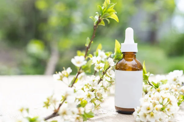 Beyaz sıkılmış şişe tüpünün üst görüntüsü. Küçük beyaz çiçekler. ilaç veya kozmetik - krem, jöle, cilt bakımı, diş macunu.