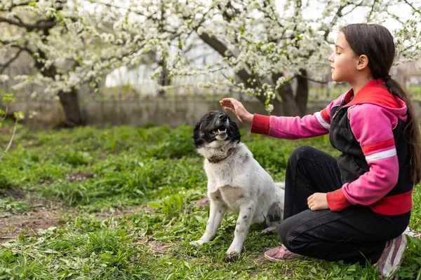 Menina criança feliz com seu cão — Fotografia de Stock