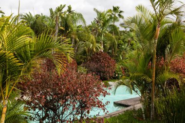 Tenerife 'deki Siam Park' ın bir parçası.