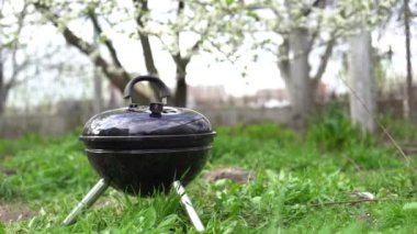 Metal bir barbekü ızgarası arka bahçede, çalıların yanında çimlerle duruyor.