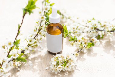 Boş beyaz kozmetik tüpü ve pastel arka planda beyaz çiçekli bahar çiçekli ağaç dalı. Ön görünüm