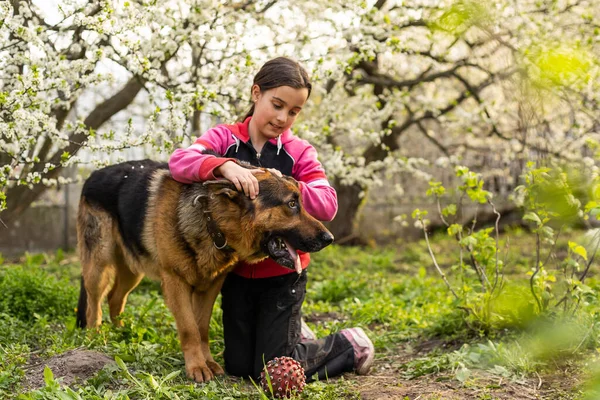 Menina criança feliz com seu cão — Fotografia de Stock