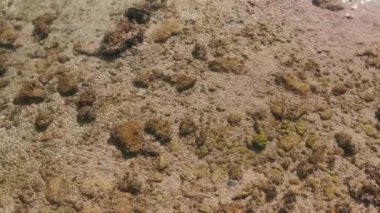 Deniz dalgaları, kaya ve kum manzarası. deniz kıyısı su arka planı