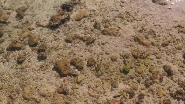 Vista das ondas do mar, rocha e areia. fundo de água do mar — Vídeo de Stock