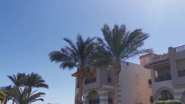 Otel arka planında palmiye ağaçları