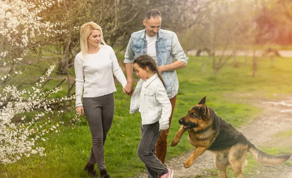 Молодая семья с детьми и собакой развлекается на природе — стоковое фото