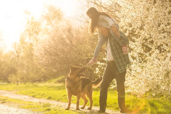 Büyükbaba ve torun ve köpek çobanı bahçede.