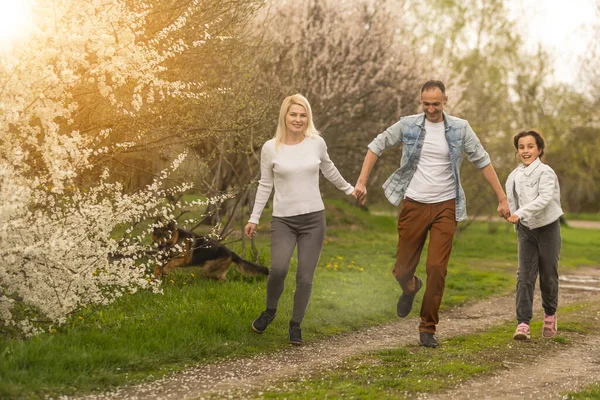 Gülümseyen baba, anne, kız. Idyllic Mutlu Ailesinin Güneş Işığı Arka Bahçede Eğleniyor