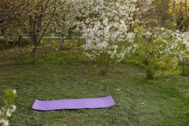 Güneşli bir bahçede yoga minderi. Rahatlamış atmosfer.