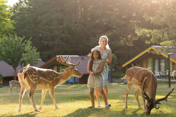 счастливая маленькая девочка с оленем. семейные выходные