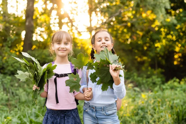 Güneşli bir sonbahar gününde bir parkta birlikte poz iki sevimli gülümseyen 8 yaşındaki kız. Dostluk kavramı.