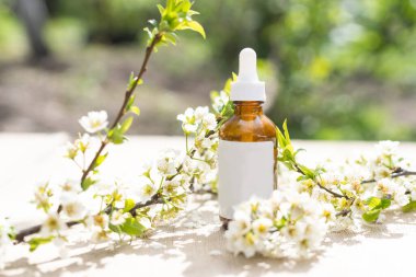 Beyaz sıkılmış şişe tüpünün üst görüntüsü. Küçük beyaz çiçekler. ilaç veya kozmetik - krem, jöle, cilt bakımı, diş macunu.